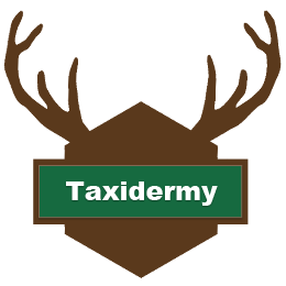 Taxidermy Button