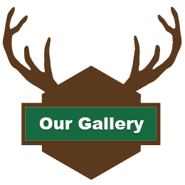 Our Gallery Button